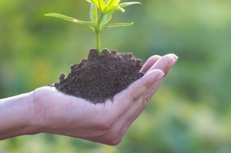 O impacto ambiental com a contratação virtual
